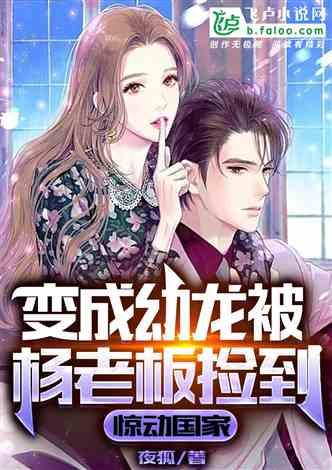 娱乐圈全员爆料小说推荐,揭秘明星背后的真实故事