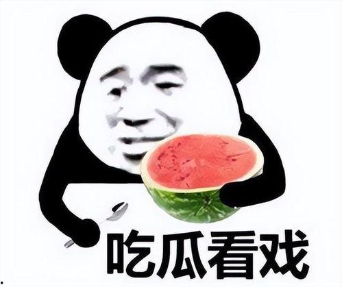 吃瓜表情包沙雕图片,趣味横生的网络文化现象