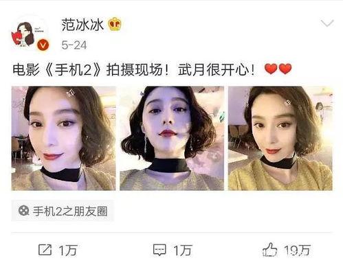吃瓜娱乐圈白鹿是谁,娱乐圈新晋小花,吃瓜群众热议焦点